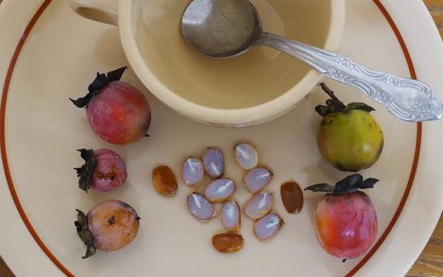 Persimmon spoons