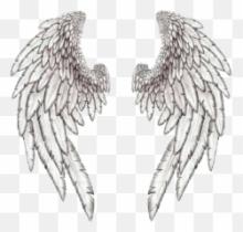 Angel wings